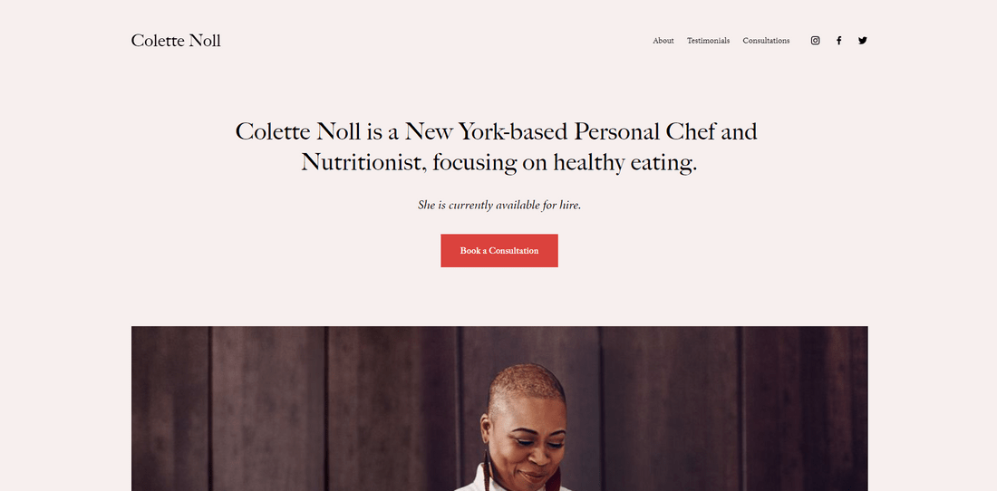 best squarespace template personal and cv noll