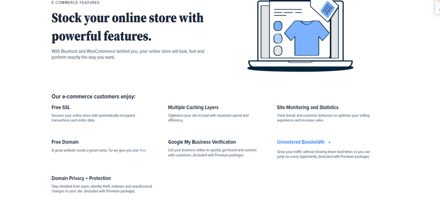 Bluehost features with little graphic of a blue t-shirt on a website