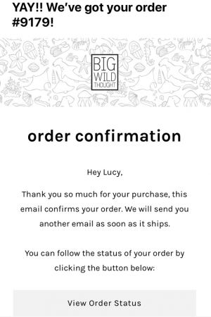 how to ship products big wild thought email order confirmation