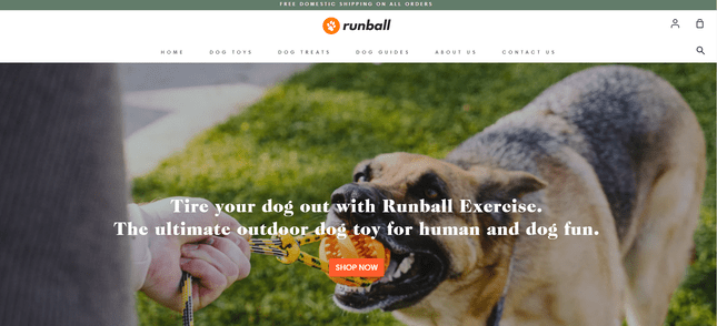 Homepage of pet care business Runball